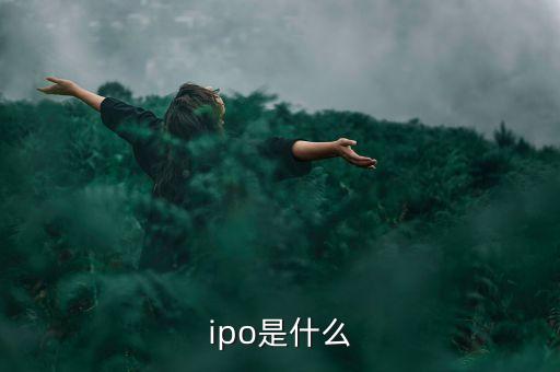 ipo制度是什么，ipo是什么