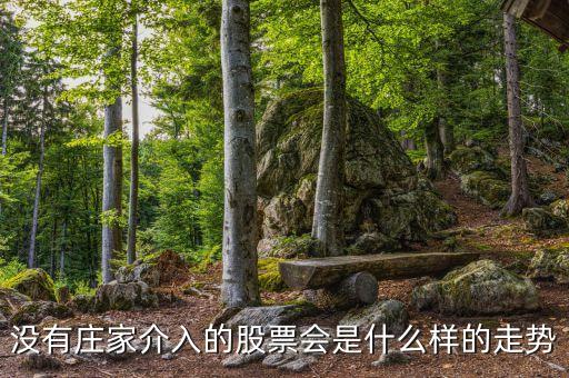 什么是股票心電圖走勢，啥是心電圖股票