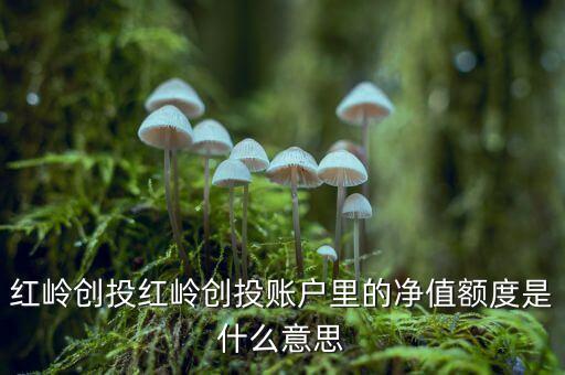 紅嶺創(chuàng)投紅嶺創(chuàng)投賬戶(hù)里的凈值額度是什么意思