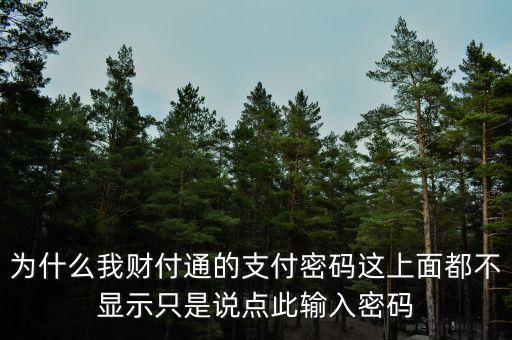 為什么有的有財(cái)通密碼有的沒(méi)有，我用手機(jī)在網(wǎng)上開(kāi)通的財(cái)通證劵有帳號(hào) 怎么沒(méi)有密碼啊