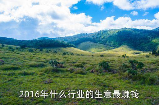 2016什么行業(yè)好做又掙錢，2016年什么行業(yè)的生意最賺錢