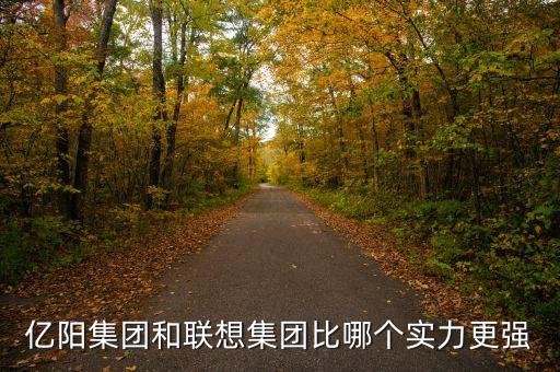 億陽集團(tuán)的發(fā)展戰(zhàn)略是什么，億陽集團(tuán)和聯(lián)想集團(tuán)比哪個(gè)實(shí)力更強(qiáng)