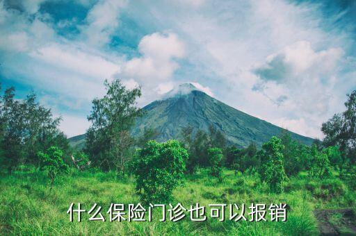 什么商業(yè)保險(xiǎn)門診都能報(bào)銷，什么險(xiǎn)種可以門診費(fèi)用報(bào)銷