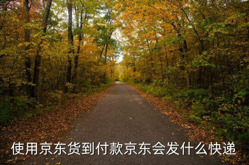 京東貨到付款發(fā)什么快遞，使用京東貨到付款京東會發(fā)什么快遞