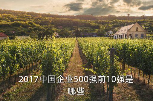2017中國企業(yè)500強前10強是哪些