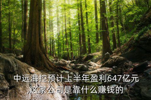  中遠(yuǎn)?？仡A(yù)計(jì)上半年盈利647億元,這家公司是靠什么賺錢(qián)的