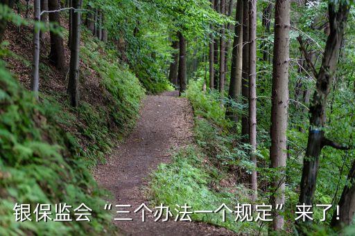 商業(yè)銀行精細(xì)化管理措施,學(xué)校精細(xì)化管理的思路與措施