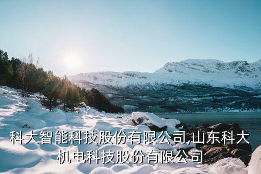 上?？拼笾悄芸萍脊煞萦邢薰?山東科大機(jī)電科技股份有限公司