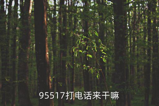 95517打電話來干嘛