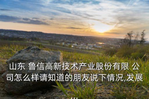 魯信集團旗下上市公司,中國電子科技集團旗下上市公司