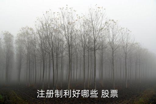 注冊制利好哪些 股票