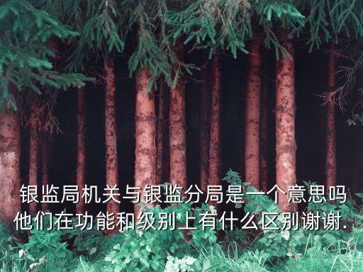  銀監(jiān)局機(jī)關(guān)與銀監(jiān)分局是一個(gè)意思嗎他們?cè)诠δ芎图?jí)別上有什么區(qū)別謝謝...