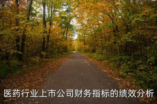 醫(yī)藥行業(yè)上市公司財務(wù)指標(biāo)的績效分析