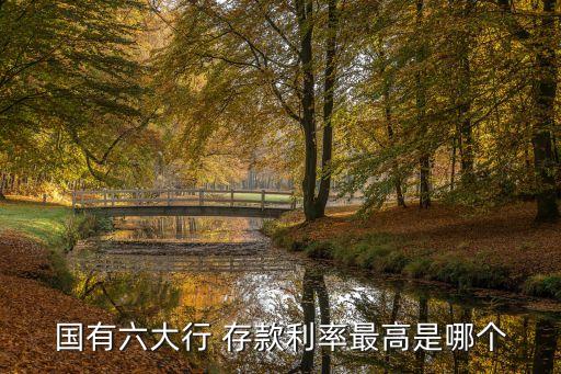 國有六大行 存款利率最高是哪個(gè)