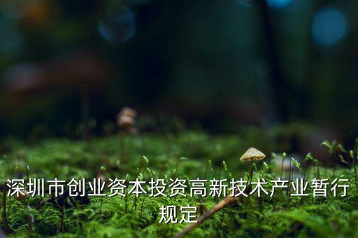 什么是國有創(chuàng)業(yè)投資機(jī)構(gòu)