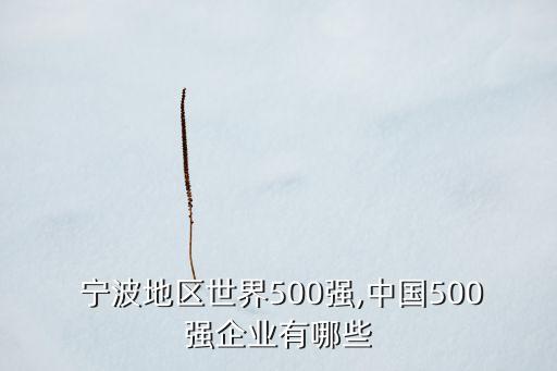  寧波地區(qū)世界500強(qiáng),中國500強(qiáng)企業(yè)有哪些