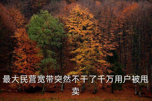 最大民營(yíng)寬帶突然不干了千萬(wàn)用戶(hù)被甩賣(mài)