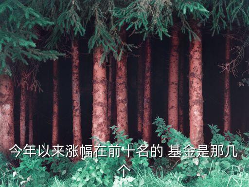 今年以來(lái)漲幅在前十名的 基金是那幾個(gè)