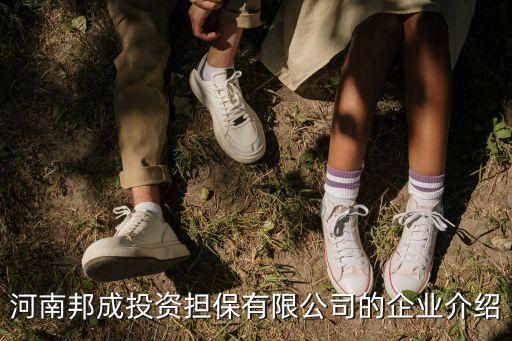 河南邦成投資擔保有限公司的企業(yè)介紹