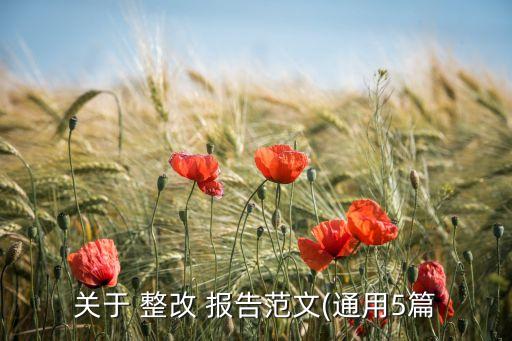 公司網(wǎng)站整改報告,年報、公司報告及公司網(wǎng)站