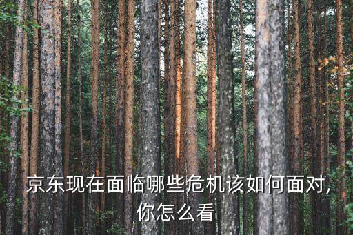 京東虧損對(duì)集團(tuán)造成的影響