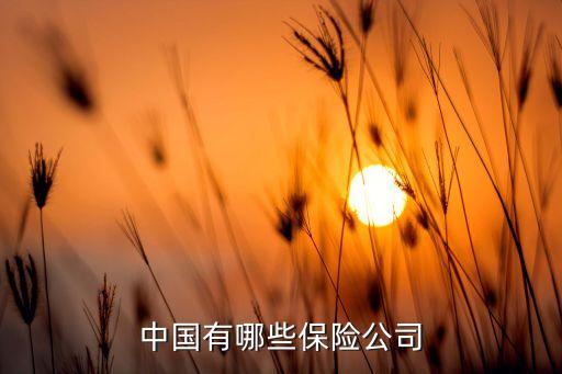 中國有哪些保險(xiǎn)公司