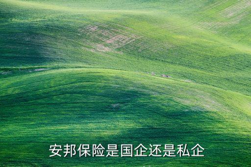  安邦保險(xiǎn)是國(guó)企還是私企