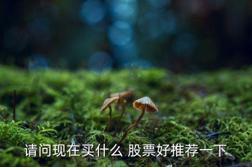 請(qǐng)問(wèn)現(xiàn)在買(mǎi)什么 股票好推薦一下