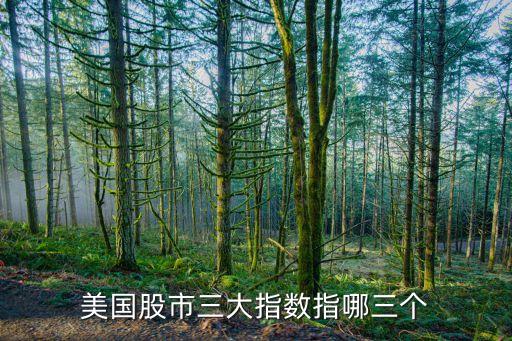 美國股市三大指數(shù)指哪三個