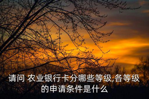請問 農(nóng)業(yè)銀行卡分哪些等級,各等級的申請條件是什么