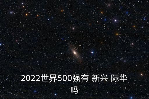 2022世界500強有 新興 際華嗎