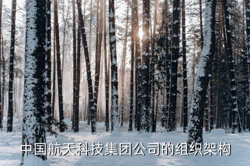 中國(guó)航天科技集團(tuán)公司的組織架構(gòu)