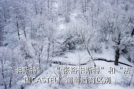 “卡斯特”、“ 張?jiān)？ㄋ固亍焙汀胺▏?guó)CASTEL”葡萄酒有區(qū)別