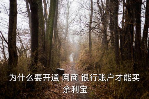 為什么要開(kāi)通 網(wǎng)商 銀行賬戶(hù)才能買(mǎi) 余利寶
