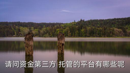 請(qǐng)問資金第三方 托管的平臺(tái)有哪些呢
