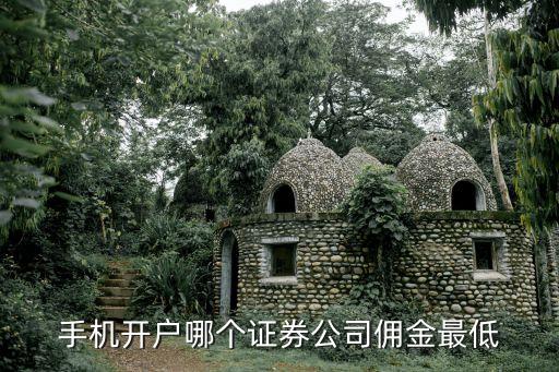 手機開戶哪個證券公司傭金最低