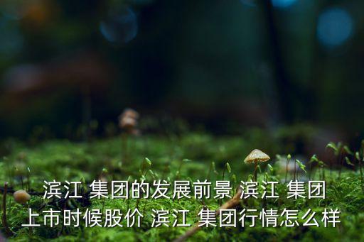 濱江集團房子質(zhì)量如何,中山濱江一號房子質(zhì)量怎么樣