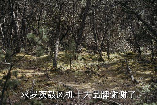 陜鼓工程技術有限公司,西安陜鼓工程技術有限公司