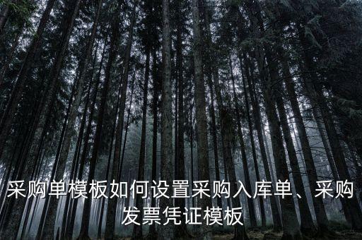 采購(gòu)單模板如何設(shè)置采購(gòu)入庫(kù)單、采購(gòu) 發(fā)票憑證模板
