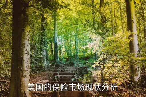 國(guó)外保險(xiǎn)公司成本,保險(xiǎn)公司的成本是什么