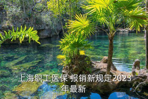 上海醫(yī)療保險報銷范圍,醫(yī)療保險報銷范圍和標(biāo)準(zhǔn)