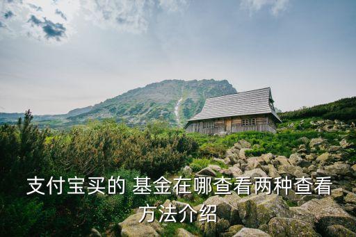  支付寶買(mǎi)的 基金在哪查看兩種查看方法介紹