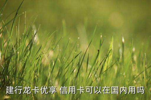 建行龍卡優(yōu)享 信用卡可以在國內用嗎