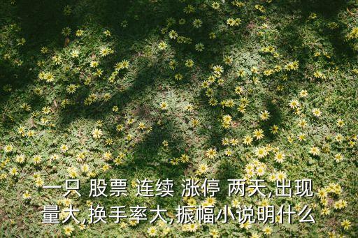 一只 股票 連續(xù) 漲停 兩天,出現(xiàn)量大,換手率大,振幅小說(shuō)明什么