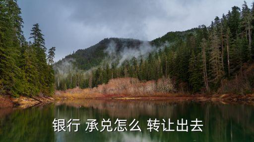 銀行承兌匯票轉(zhuǎn)讓協(xié)議書(shū)