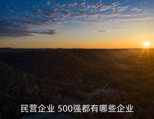 2010中國(guó)民企500,中國(guó)最大的民企