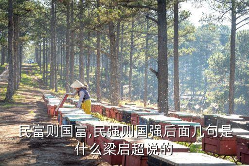  民富則國富,民強(qiáng)則國強(qiáng)后面幾句是什么梁啟超說的