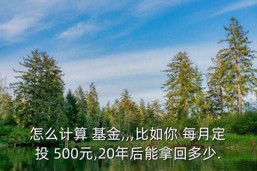 怎么計算 基金,,,比如你 每月定投 500元,20年后能拿回多少.