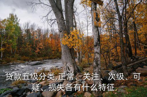 貸款五級(jí)分類,正常、關(guān)注、次級(jí)、可疑、損失各有什么特征