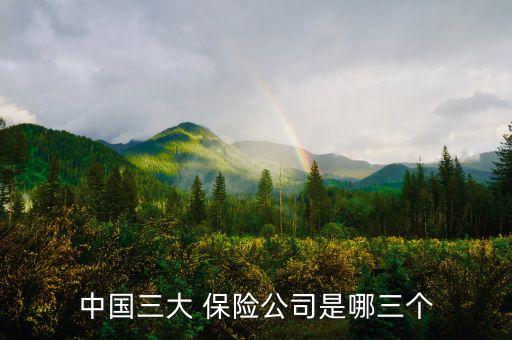 中國三大 保險(xiǎn)公司是哪三個(gè)